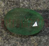 No Image Found